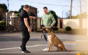 Private Obedience Dog Training