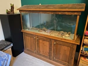 4 foot fish tank & accessories