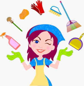 Cleaner / Housekeeper Available 