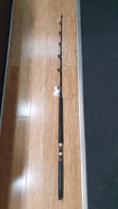 Daiwa GW-EB561 XXHF-AR Fishing Rod (362769)