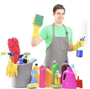 Cleaner, house cleaning services