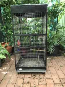 Bird cage medium