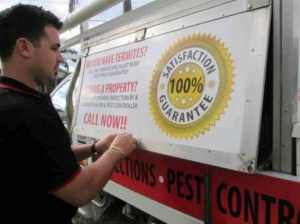 Pestable Pest Control service 🕷 from $79  ✅ 5 stars 🌟 Cockroach 🪳