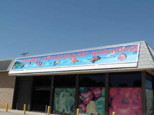 Aquarium Store Location Base in Pooraka
