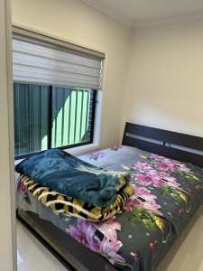 1 room available for rent 280$ week 