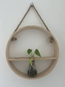 Wall plant holder ply