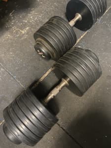 65 kg dumbbells. Great unique piece for any gym. Weights