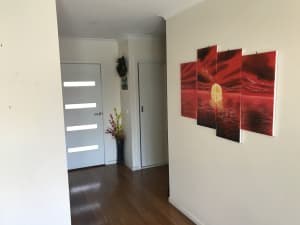 One room available for rent in a furnished house