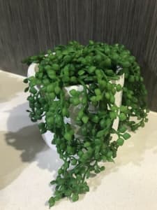 Artificial string of pearls plant