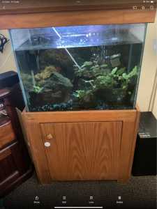 Fish tank. 90 litre aquarium