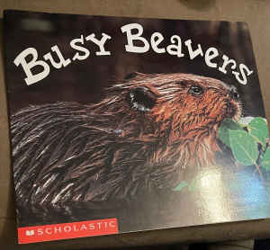 Busy Beavers by Susan Canizares. Nics books