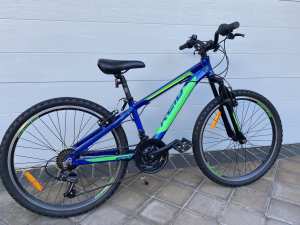Blue and Green Reid Bike