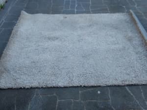 Shaggy rug (100 percent pet pile).