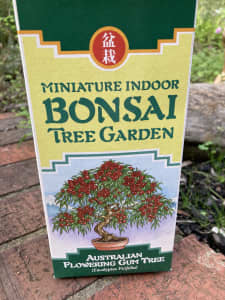 Indoor miniature bonsai set