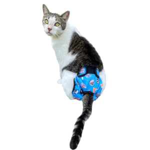 Kitty Knickers - Pants for Cats - Incontinence, Spraying / Marking