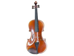 Raggetti Rv5 Brown Violin 016800130576