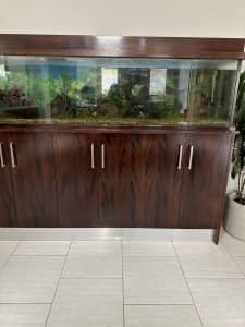 6 foot long custom built fish tank