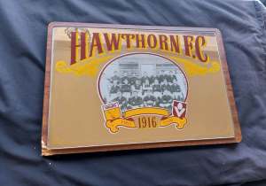 Vintage Hawthorn hawks vfl Bar Mirror 