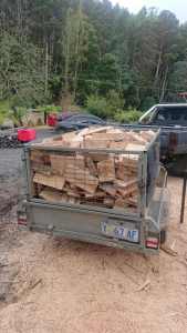 Dry ready to burn firewood