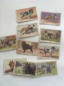 1949: 14 vintage trading cards Favourite Dogs