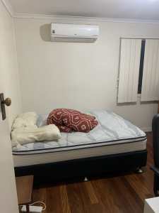 Room for rent 180$ in Inala (bills included)