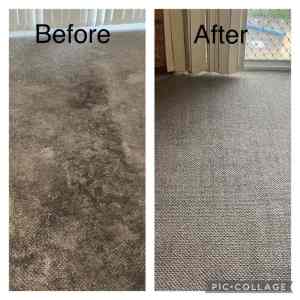 Carpet Cleaning from $70.00