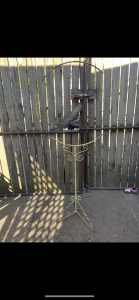 Wrought iron bird feeder/hanging plant stand