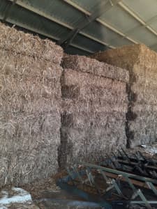 Sugarcane Mulch Bales