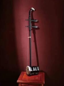 Chinese Erhu 2-stringed Fiddle Solid Timber Body Neck Foam Case String
