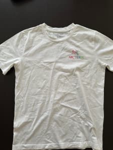 Arc Mens Tee, Size Large