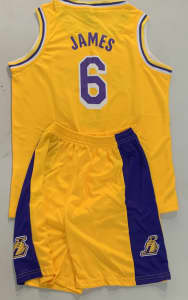 Nike Los Angeles Lakers LeBron James #6 Jersey City Edition Youth Sz Medium  $90