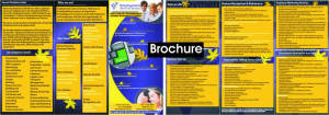 DL flyer/leaflet/brochure design & print 