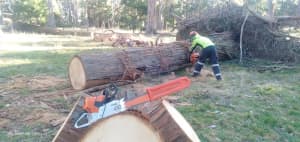 Fallen Tree Services & Storm Damage Clean Up