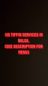 Indian tiffin service ($15 only)
