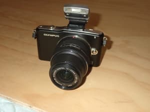 Olympus micro four thirds mirrorless camera E-PM1 & optional long lens