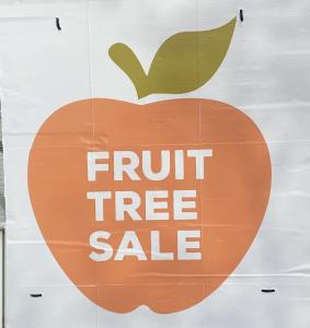 Fruit trees for sale $10- $40 