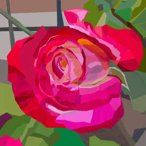 12 x 12 inch Unframed English rose, Patriotic, Home decor/Gift