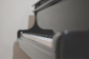 Piano Lessons/Tutoring for All Ages 