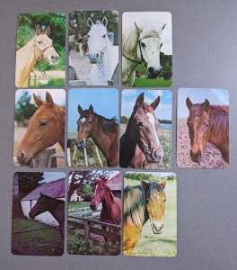 Swap cards horse themed x 10 1970s/1980s era (PRICE ALL) 