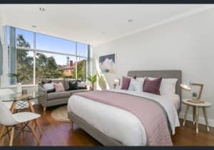 Rent: Sunny Manly Studio with Pool - $650pw inc bills (Jul 10-Sep 1)