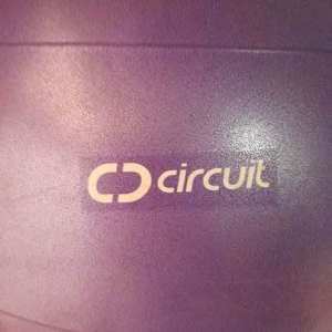 Fitball Circuit Fitball Purple Inflated $10