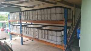 Industrial pallet racking (6 pallet space) ibc fish breeding setup