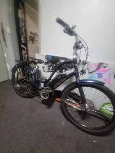 Electra Townie GO! 8D Peddle assisted cruiser