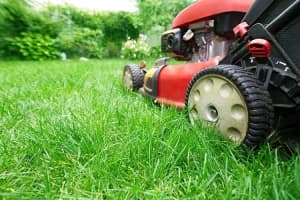 Reduced To Sell - Lawn Mowing Round - Business Opportunity