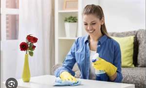 Need workers for Domestic Cleaning 