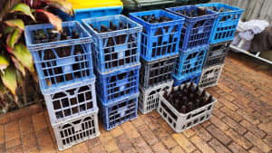 Brewing bottles and milk crates