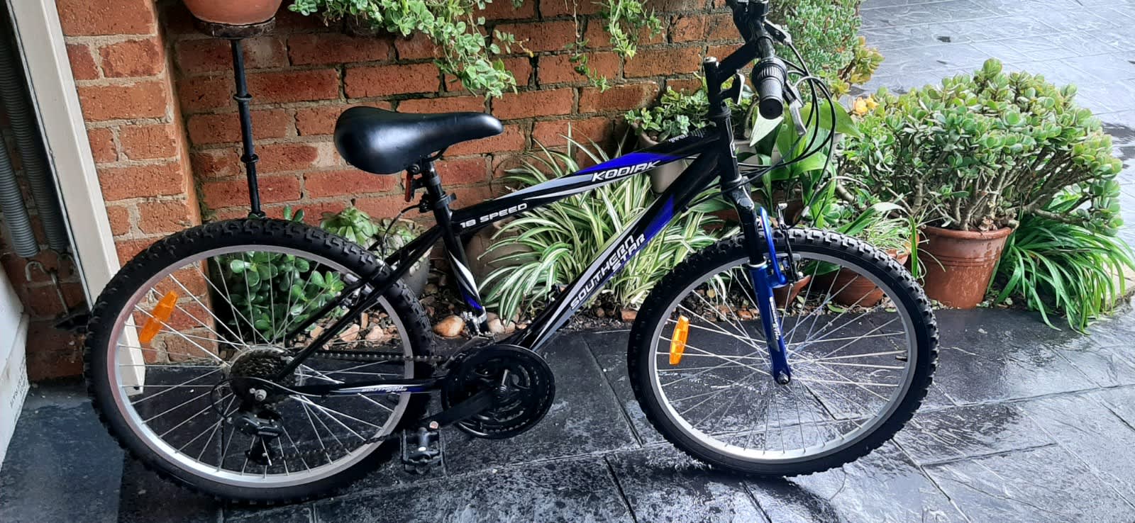 southern star womens bike