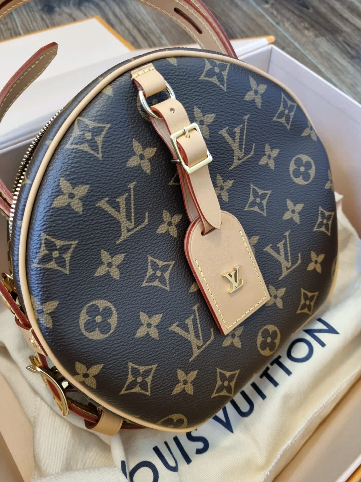 LOUIS VUITTON Damier Ebene Trevi PM Louis Vuitton Monogram Ellipse