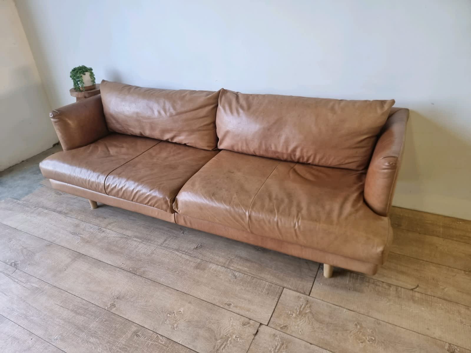 Tan Leather Sofa Gumtree Melbourne Baci Living Room