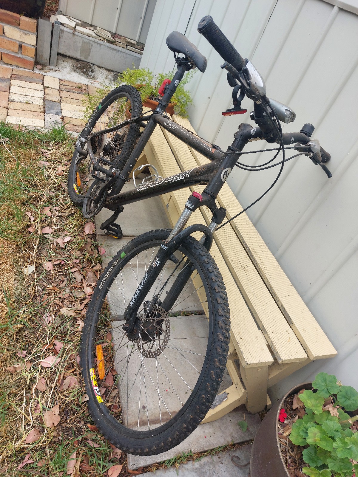 Gumtree free bike online